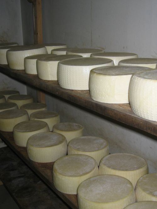 scuola di formaggio-21.JPG